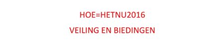 HOE=HETNU2016 VEILING EN BIEDINGEN