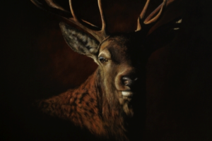 SCHILDERIJ EN TEKENING VAN HET JAAR 2016 IN CODA ÉN ACEC