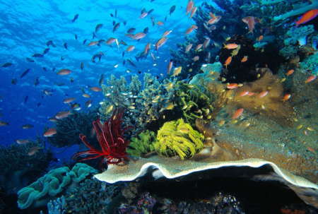 LEZING DOS WINKEL: DE ZEE EN ONZE GEZONDHEID