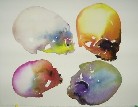 Opening Skullshow