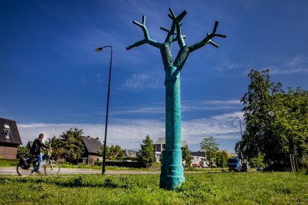 DE BOOM IN GROENEWOUD