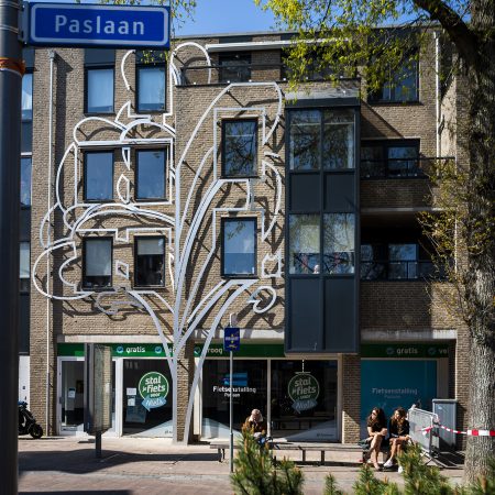 BOOM DER VRIJHEID