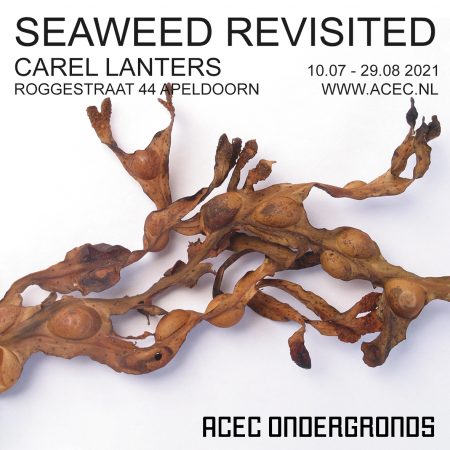 ACEC Ondergronds: Seaweed Revisited