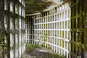 Borrowed Spaces – In Situ: Jan Theun van Rees