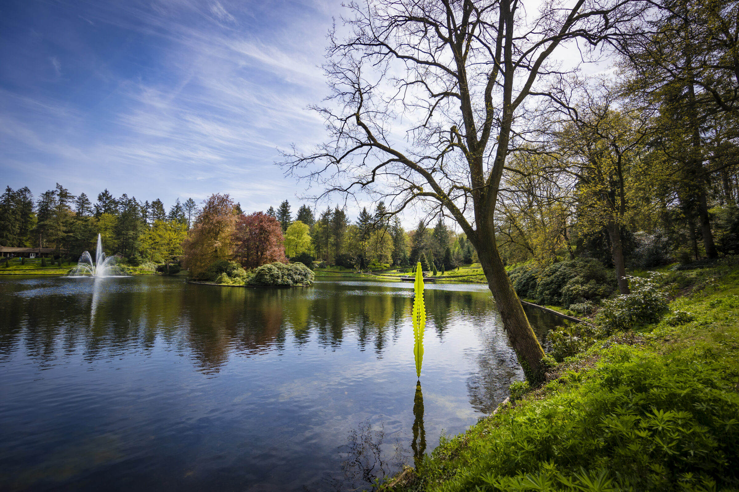 Boomkroonjuwelen in Stadspark Berg & Bos (foto: Rob Voss)