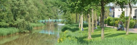 OKW-Café: Biodiversiteit in Apeldoorn