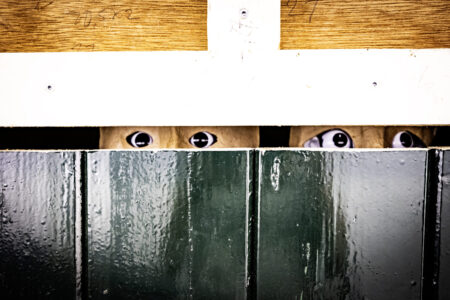 Knock, Knock
