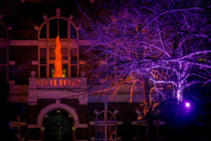 Royal Light Festival 2026