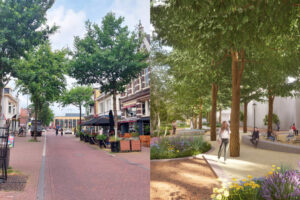Bouwhuiscafé: Het stadspark van Apeldoorn
